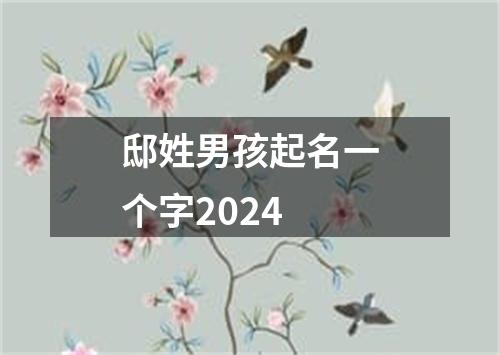 邸姓男孩起名一个字2024