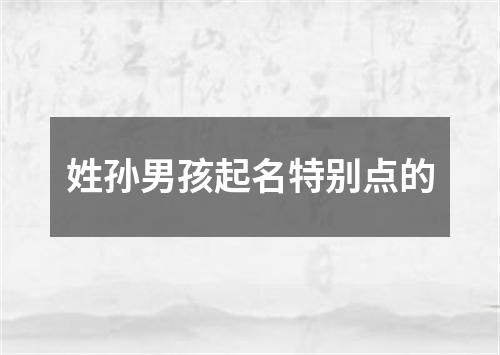 姓孙男孩起名特别点的