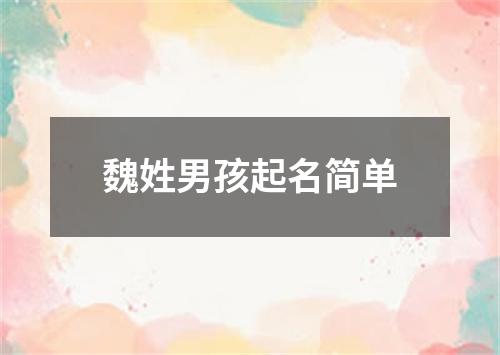 魏姓男孩起名简单