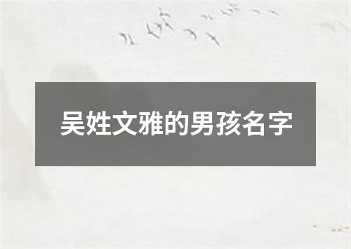 吴姓文雅的男孩名字