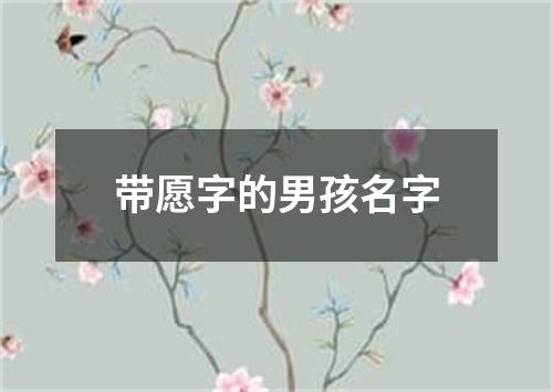 带愿字的男孩名字