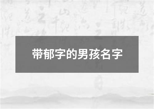 带郁字的男孩名字