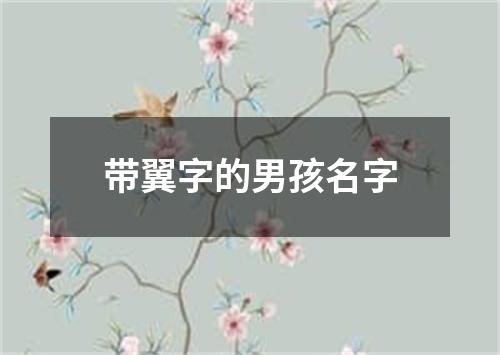 带翼字的男孩名字