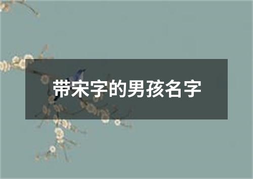 带宋字的男孩名字