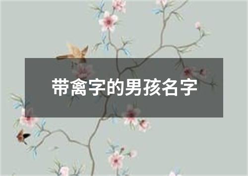 带禽字的男孩名字