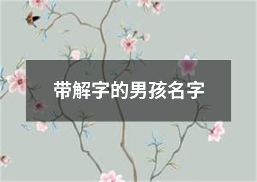 带解字的男孩名字