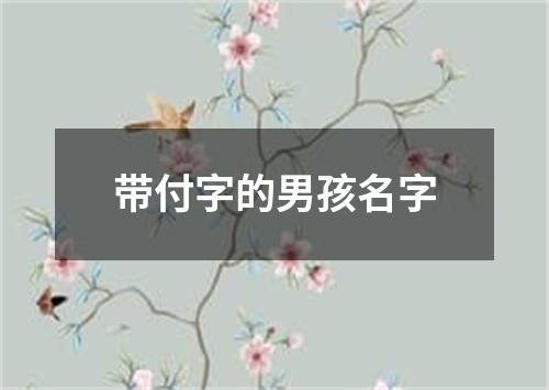 带付字的男孩名字