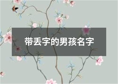 带丢字的男孩名字