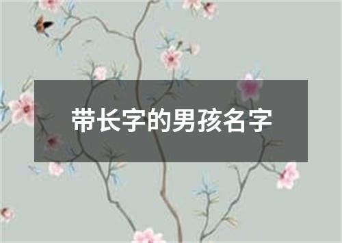 带长字的男孩名字