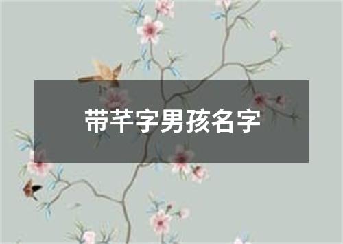 带芊字男孩名字