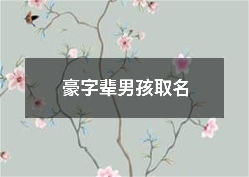 豪字辈男孩取名