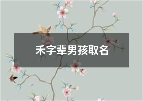 禾字辈男孩取名