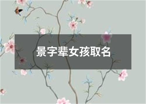 景字辈女孩取名