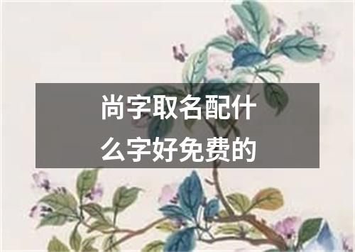 尚字取名配什么字好免费的