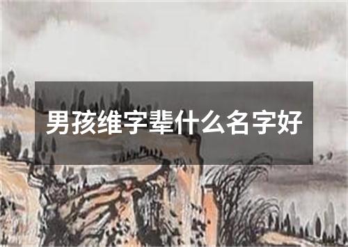 男孩维字辈什么名字好