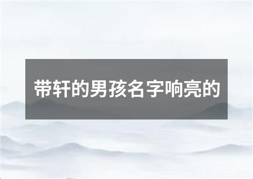 带轩的男孩名字响亮的