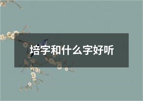 培字和什么字好听