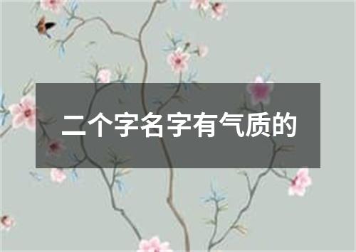 二个字名字有气质的