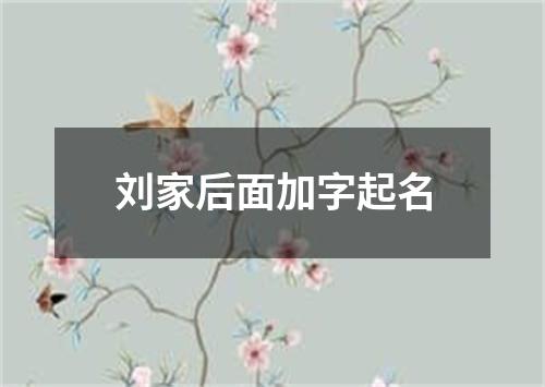 刘家后面加字起名