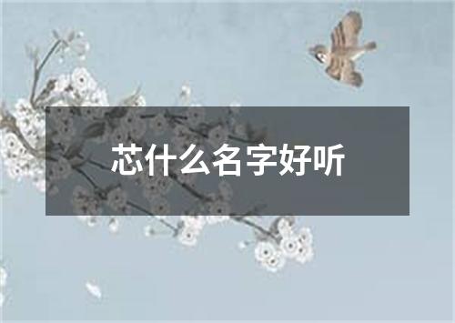 芯什么名字好听