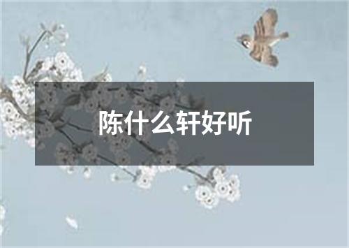 陈什么轩好听