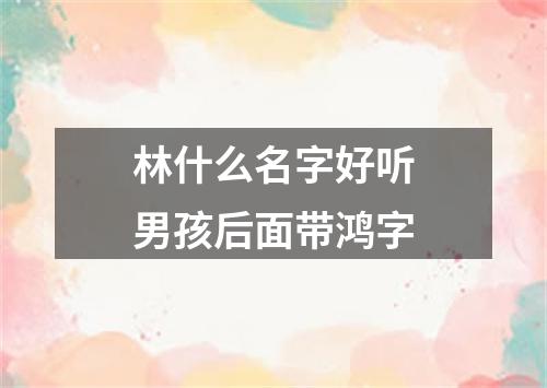 林什么名字好听男孩后面带鸿字