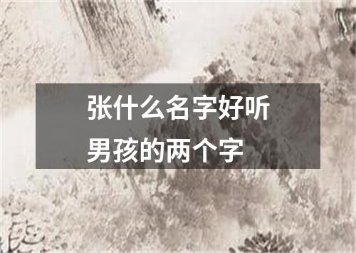 张什么名字好听男孩的两个字