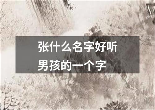 张什么名字好听男孩的一个字