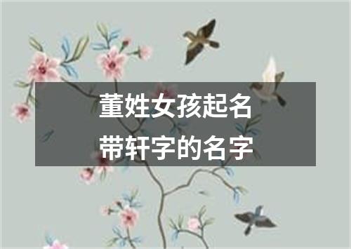 董姓女孩起名带轩字的名字