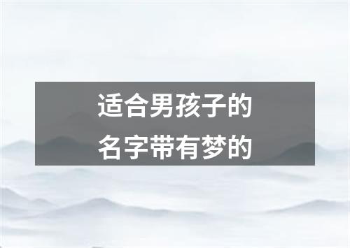 适合男孩子的名字带有梦的