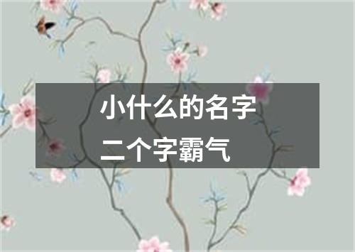 小什么的名字二个字霸气