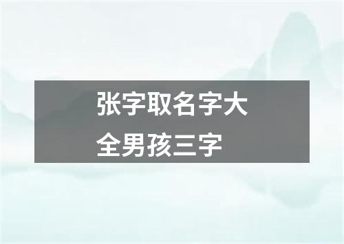 张字取名字大全男孩三字