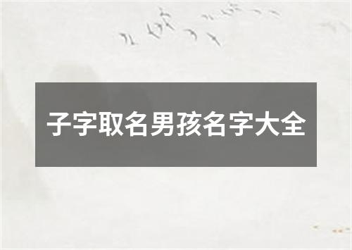 子字取名男孩名字大全