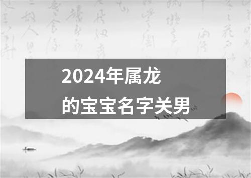 2024年属龙的宝宝名字关男