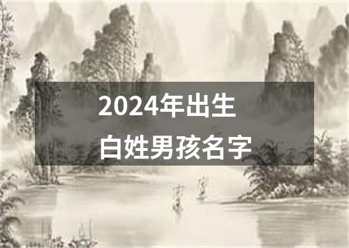 2024年出生白姓男孩名字