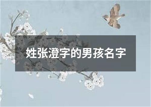 姓张澄字的男孩名字