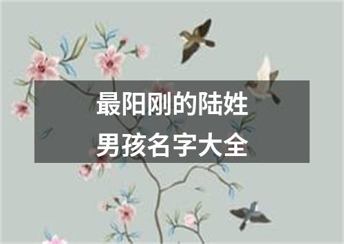 最阳刚的陆姓男孩名字大全