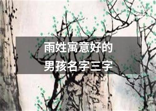 雨姓寓意好的男孩名字三字