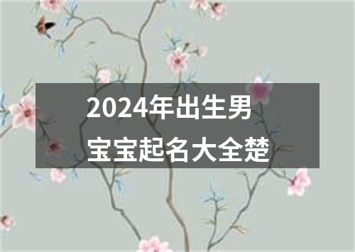 2024年出生男宝宝起名大全楚