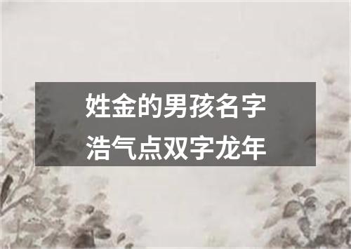 姓金的男孩名字浩气点双字龙年