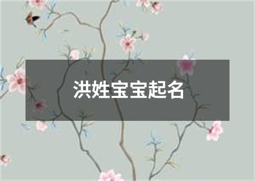 洪姓宝宝起名