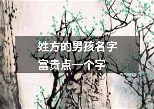 姓方的男孩名字富贵点一个字