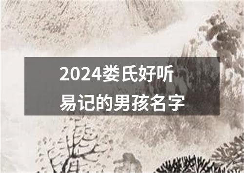 2024娄氏好听易记的男孩名字