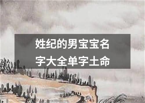 姓纪的男宝宝名字大全单字土命