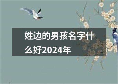 姓边的男孩名字什么好2024年