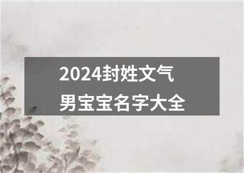 2024封姓文气男宝宝名字大全