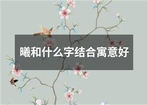 曦和什么字结合寓意好