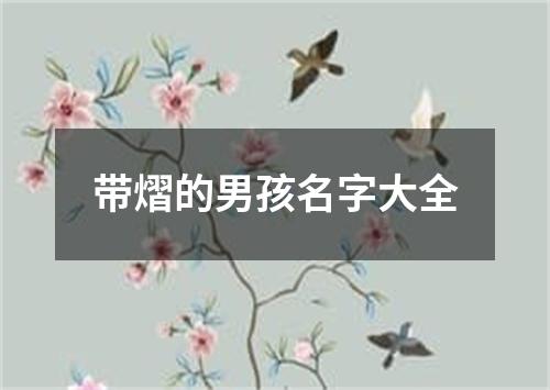 带熠的男孩名字大全