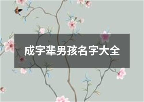 成字辈男孩名字大全