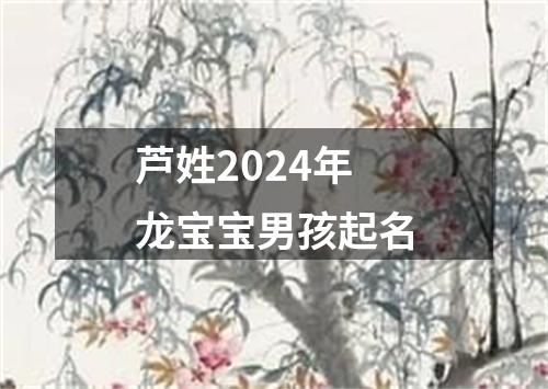 芦姓2024年龙宝宝男孩起名